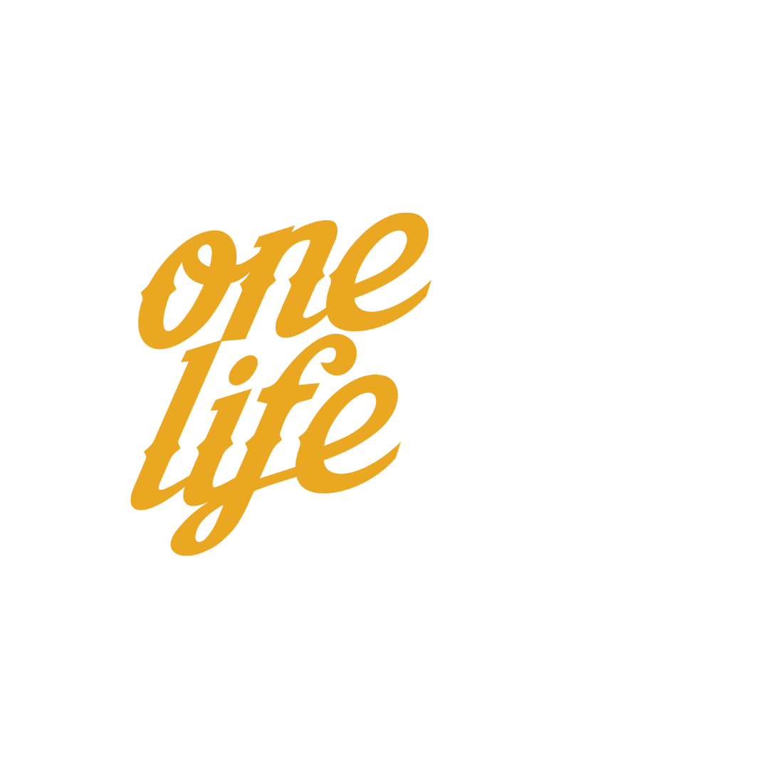 One Life Spirits